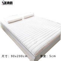 圣承启 公寓床垫 90X200张