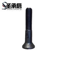 圣承启 沉头带榫螺栓 M20*65 个
