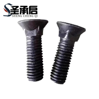 圣承启 沉头方颈螺栓 M12*110 个