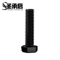 圣承启 光螺栓 M22*170 个