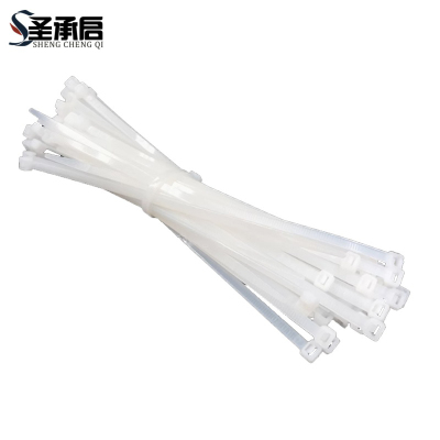 圣承启 扎线带 10*800mm根