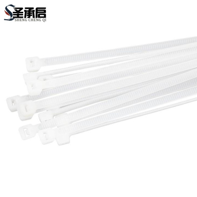 圣承启 扎线带 12*600mm根