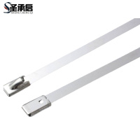 圣承启 束线带 10*300mm根