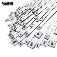 圣承启 理线带 4.6*250mm根