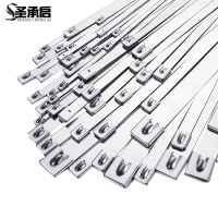 圣承启 绑带 4.6*200mm根