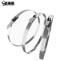 圣承启 固定扎带 19*500mm根