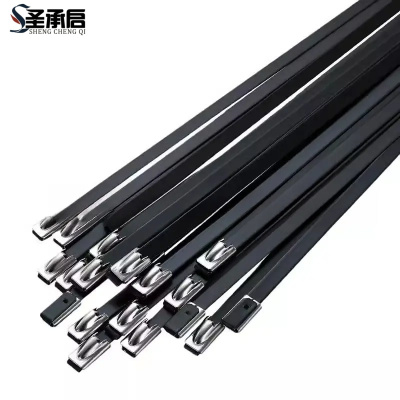 圣承启 不锈钢扎带 4.6*500根