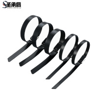 圣承启理 扎带 5.6*300根