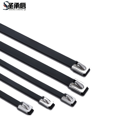 圣承启 不锈钢扎带 9*250