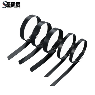 圣承启 扎带 5.6*600根