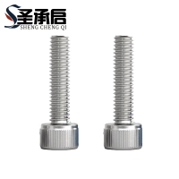 圣承启 螺钉 M20*100 个