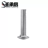 圣承启 不锈钢螺丝钉 M10*25 个(M10*25)