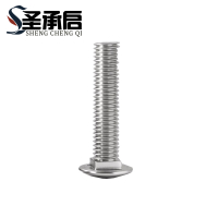 圣承启 不锈钢螺丝钉 M10*90 个(M10*90)