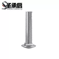 圣承启 不锈钢螺栓 M5*22 个(M5*22)