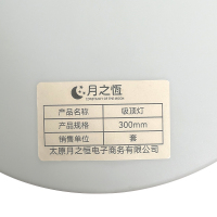 月之恒吸顶灯300mm套