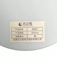 月之恒吸顶灯300mm套