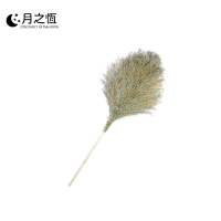 月之恒竹扫帚中号 把