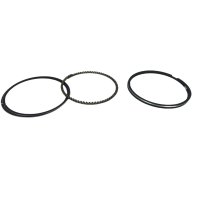 盛吉茂逸 活塞环 GX160