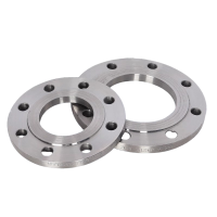 智铮朗月 碳钢法兰片 DN20 个