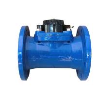 智铮朗月 可拆卸水表 DN25 个