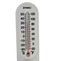 智铮朗月 温湿度计 DYWSJ 个