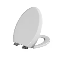 智铮朗月 ABS马桶盖 V型 个