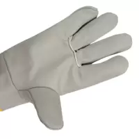 的生存方式的房产税的出生地v测试VS