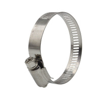 智铮朗月 不锈钢扎带不锈钢喉箍管卡 22-32mm 个