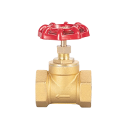 智铮朗月 铜闸阀 DN25 个