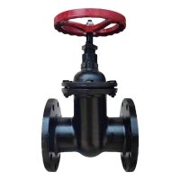 智铮朗月 法兰闸阀 Z45T-16 DN65 个