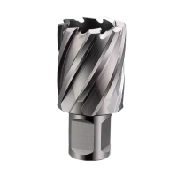 智铮朗月 钻头 31*25mm 个