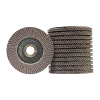 智铮朗月 75塑盖磨光砂轮 100X16mm 60目 片