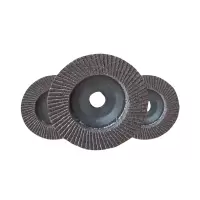 智铮朗月 砂布轮网盖 125*22mm 60目 厚10mm 片