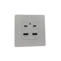 智铮朗月 墙壁插座 2位USB+2位TPYE-C 个