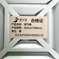 捷宇辉排气扇300mm*300mm/套