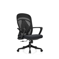 合祥源 职员转椅办公椅 605*660*1085mm B809 张