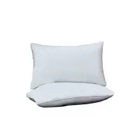 合祥源 QX-CD33 防羽布全棉枕芯 48*74cm 单位:个