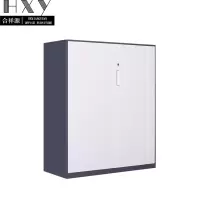 合祥源 三层开门柜 厚度0.6 900*400*1090mm QX-WJG111 组