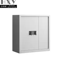 合祥源 无斗单节保密柜 电子密码锁 900*420*940mm QX-WJG149 组