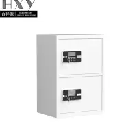 合祥源 二门保密柜 钥匙+密码锁 550*420*800mm QX-WJG176 组