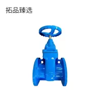 拓品臻选 法兰明杆闸阀 40 个