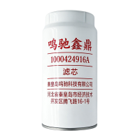 鸣驰鑫鼎 滤芯 1000424916A 个