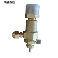 鸣驰鑫鼎 调压阀 TY20A 个