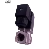 鸣聚 喇叭阀 304-10-T31 个