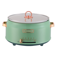 雅乐思 电煮锅多功能一体家用电火火锅专用分体式电热锅 YHG501 苹果绿