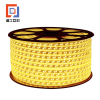 精工巨彩 氛围灯光 A款