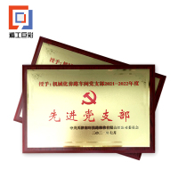 精工巨彩 砂金工艺奖牌 35*50cm