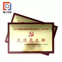 精工巨彩 砂金工艺奖牌 35*50cm