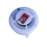 奈斯特 烟雾报警器 4G烟温一体 个