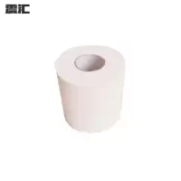 震汇 小卷纸 100g 卷